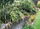 Water Stream Gardens