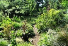 Wattle Path Greenery