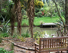 Back Garden Pond