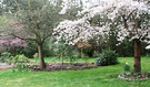 Blossom New Garden