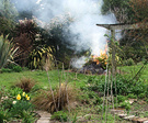 Bonfire Spring Garden