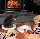 Cat Basket Fire