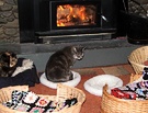 Cat Baskets Fire