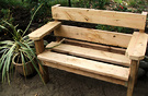 Cordyline Garden Bench