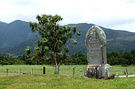 Cordyline Grave Stone