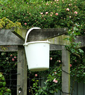 Emergency Bucket Garden