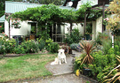 Patio House Path