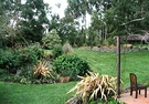 Patio Lawn Garden