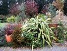 Pot Flax Garden