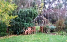 Rain Wnter Garden