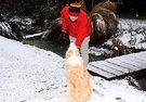 Snow Bridge Dog