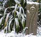 Snow Koru Flax