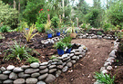 Stone Wall Plants