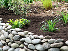 Stone Wall Shrubbery