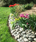 Wall Tulip Stones