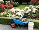 Wheelbarrow 1