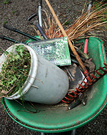 Wheelbarrow Book Garden