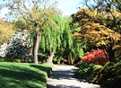 Willow Ilam Gardens