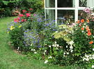 Bay Window Garden