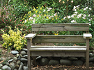 Bench Rustic Roses