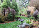 Birdbath Cordyline Garden