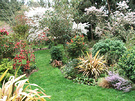 Blossom Shrubs Garden