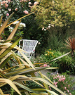 Cane Chair Roses