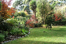 Dogpath Garden Fall