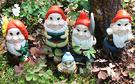 Five Disney Gnomes