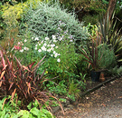 Flax Side Garden