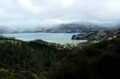 Forest Harbour Clouds