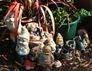 Garden Gnomes Sunny