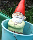 Gnome Garden Bucket