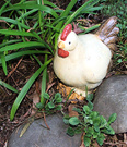 Hen Statue Garden