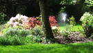 Hose Shrubs Border