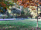 Late Autumn Pond