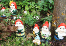 More Disney Gnomes