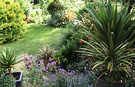 Patio Garden Flower