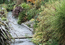 Phormiums Stream Stones