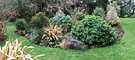 Plants Island Bed
