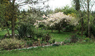 Pond Blossom Paddock