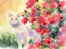 Rose Watercolour Cat