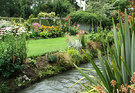 Water Daisies Garden