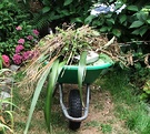 Wheelbarrow Plant Rubbish