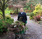 Winter Gardener