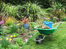 Barrow Daffodils Garden