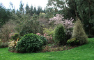 Blossom Bed Island