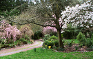 Blossom Drive Pink
