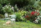 Cat Garden Table