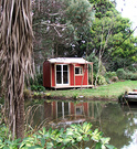 Cottage Pond Cordyline